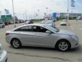 Radiant Silver - Sonata GLS Photo No. 6
