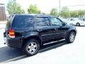 2002 Black Clearcoat Ford Escape XLT V6 4WD  photo #6