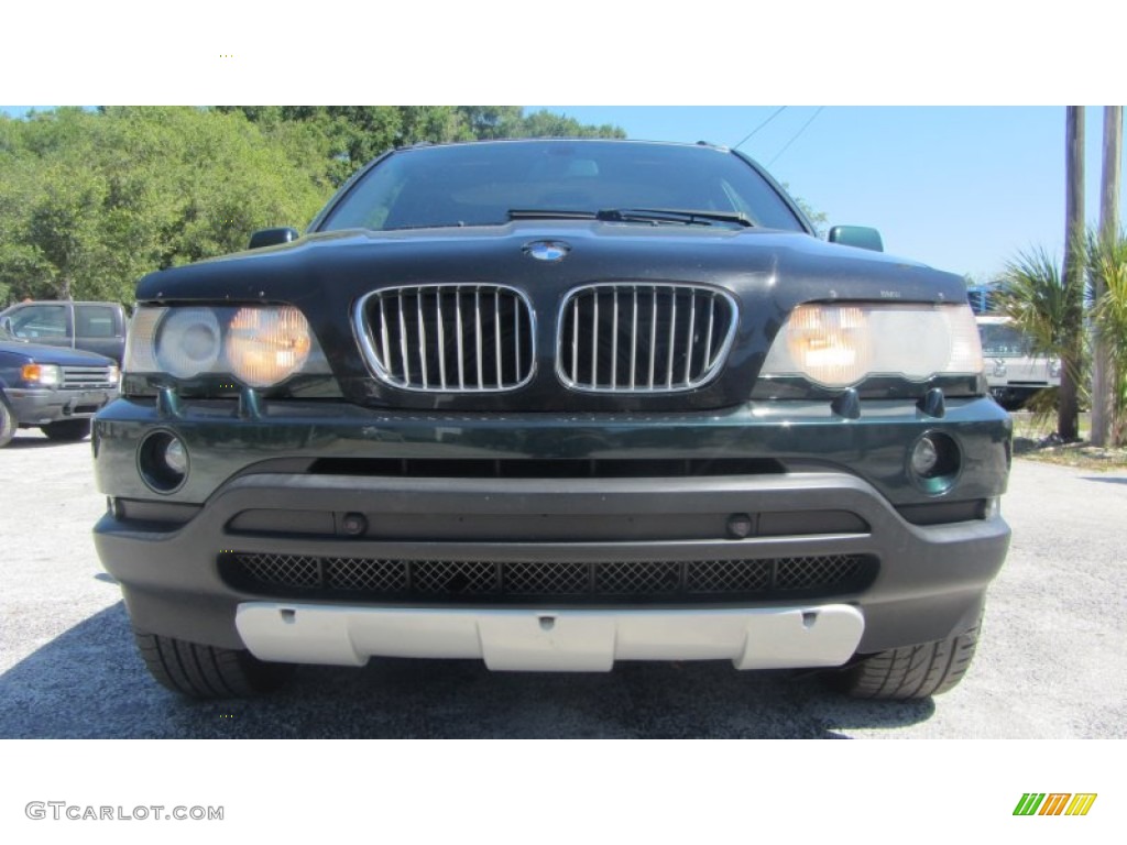 Oxford Green Metallic BMW X5