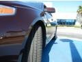 Cinnamon Metallic - MKS EcoBoost AWD Photo No. 10