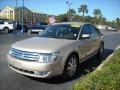 Dune Pearl Metallic - Taurus SEL Photo No. 7