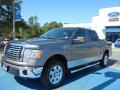 2010 Sterling Grey Metallic Ford F150 XLT SuperCrew  photo #1