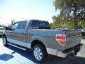 2010 Sterling Grey Metallic Ford F150 XLT SuperCrew  photo #3