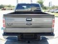 2010 Sterling Grey Metallic Ford F150 XLT SuperCrew  photo #4