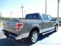2010 Sterling Grey Metallic Ford F150 XLT SuperCrew  photo #5