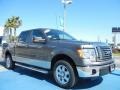 2010 Sterling Grey Metallic Ford F150 XLT SuperCrew  photo #7