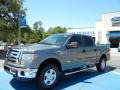 Sterling Gray Metallic - F150 XLT SuperCrew 4x4 Photo No. 1