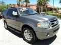 2011 Sterling Grey Metallic Ford Expedition XLT  photo #1