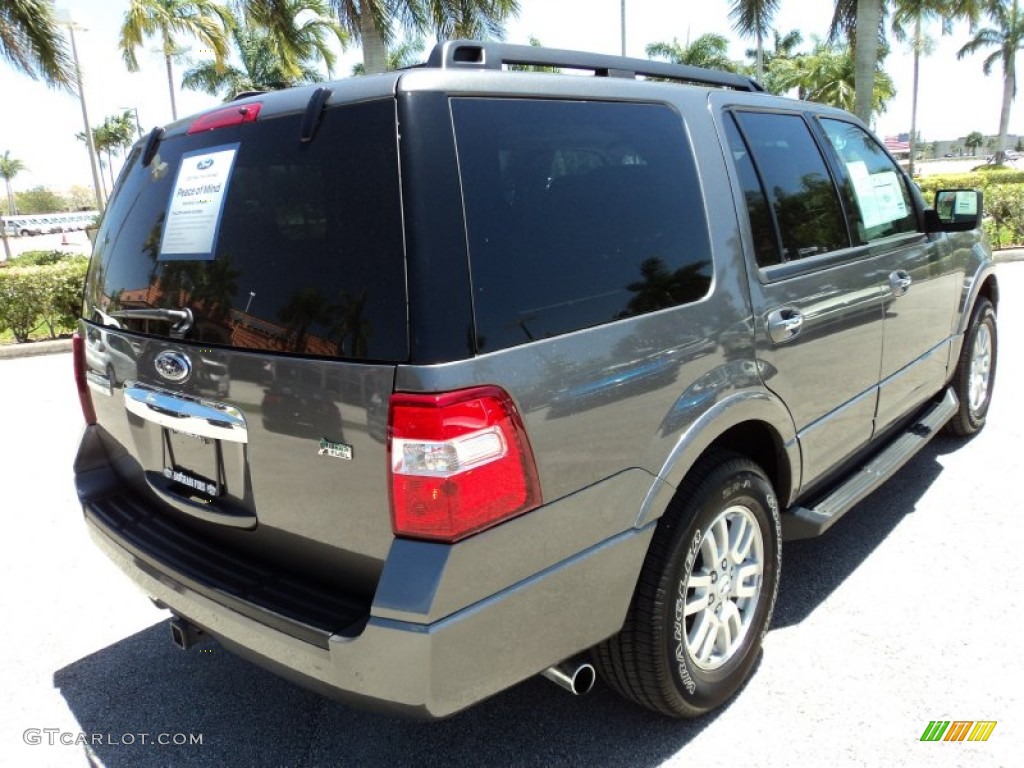 2011 Expedition XLT - Sterling Grey Metallic / Camel photo #6