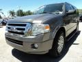 2011 Sterling Grey Metallic Ford Expedition XLT  photo #14