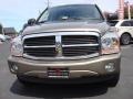 2006 Light Khaki Metallic Dodge Durango Limited HEMI 4x4  photo #10