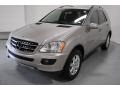 Pewter Metallic - ML 350 4Matic Photo No. 3