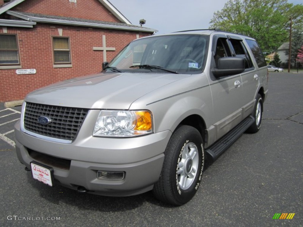 2003 Expedition XLT 4x4 - Silver Birch Metallic / Flint Grey photo #2