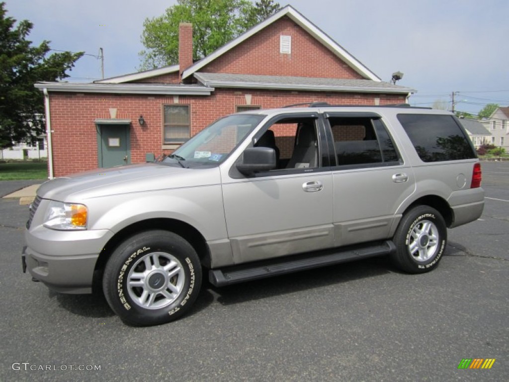 2003 Expedition XLT 4x4 - Silver Birch Metallic / Flint Grey photo #3