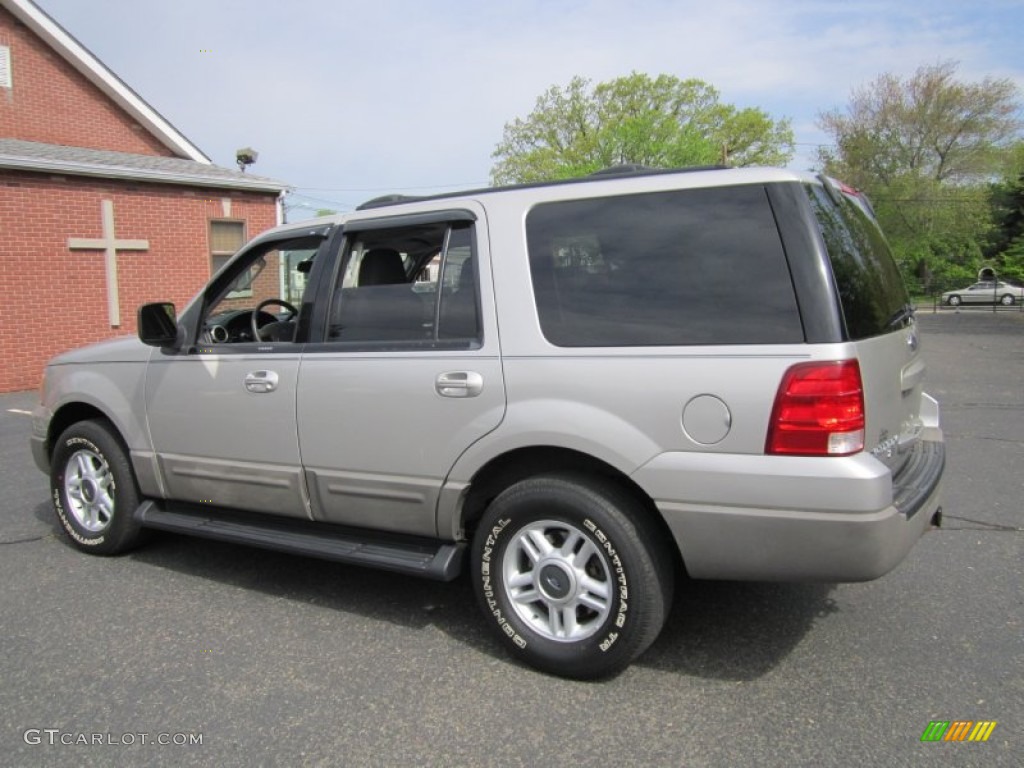 2003 Expedition XLT 4x4 - Silver Birch Metallic / Flint Grey photo #4