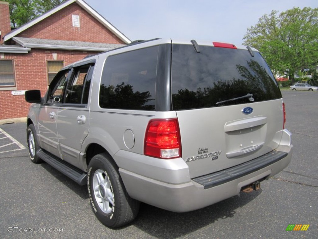 2003 Expedition XLT 4x4 - Silver Birch Metallic / Flint Grey photo #5