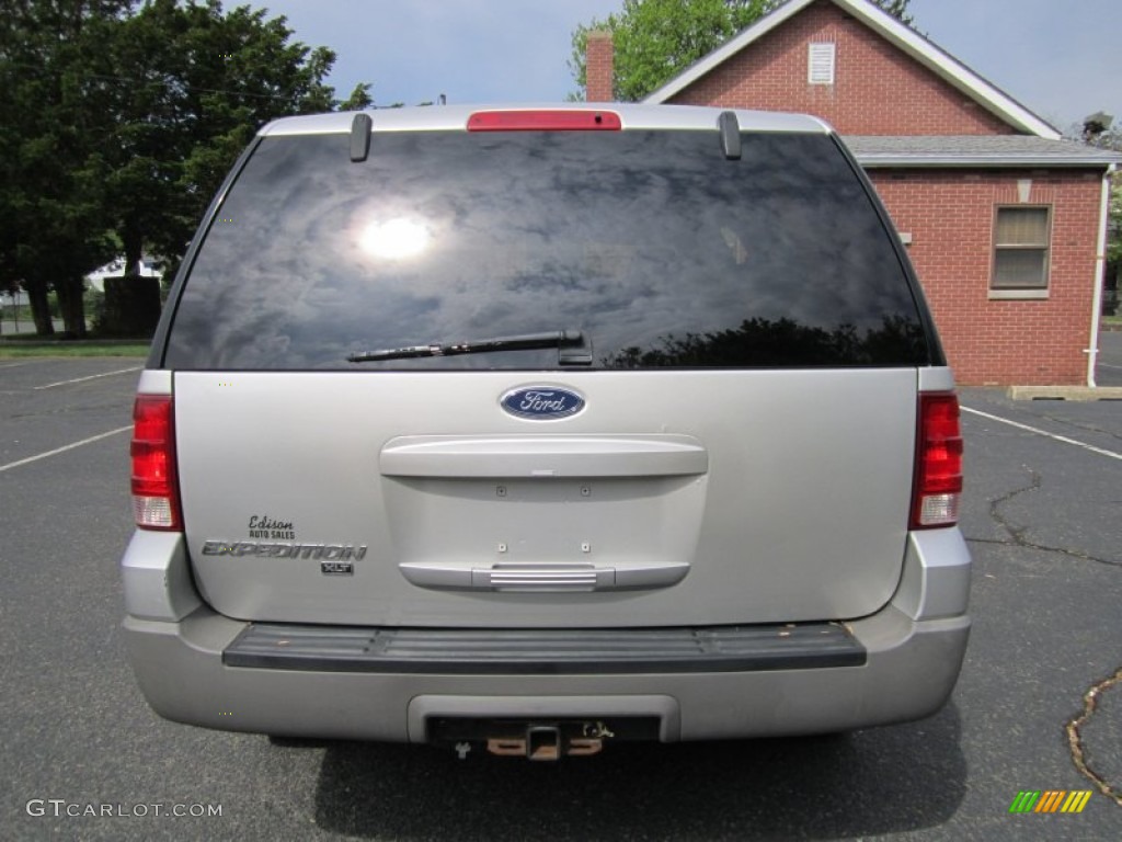 2003 Expedition XLT 4x4 - Silver Birch Metallic / Flint Grey photo #6