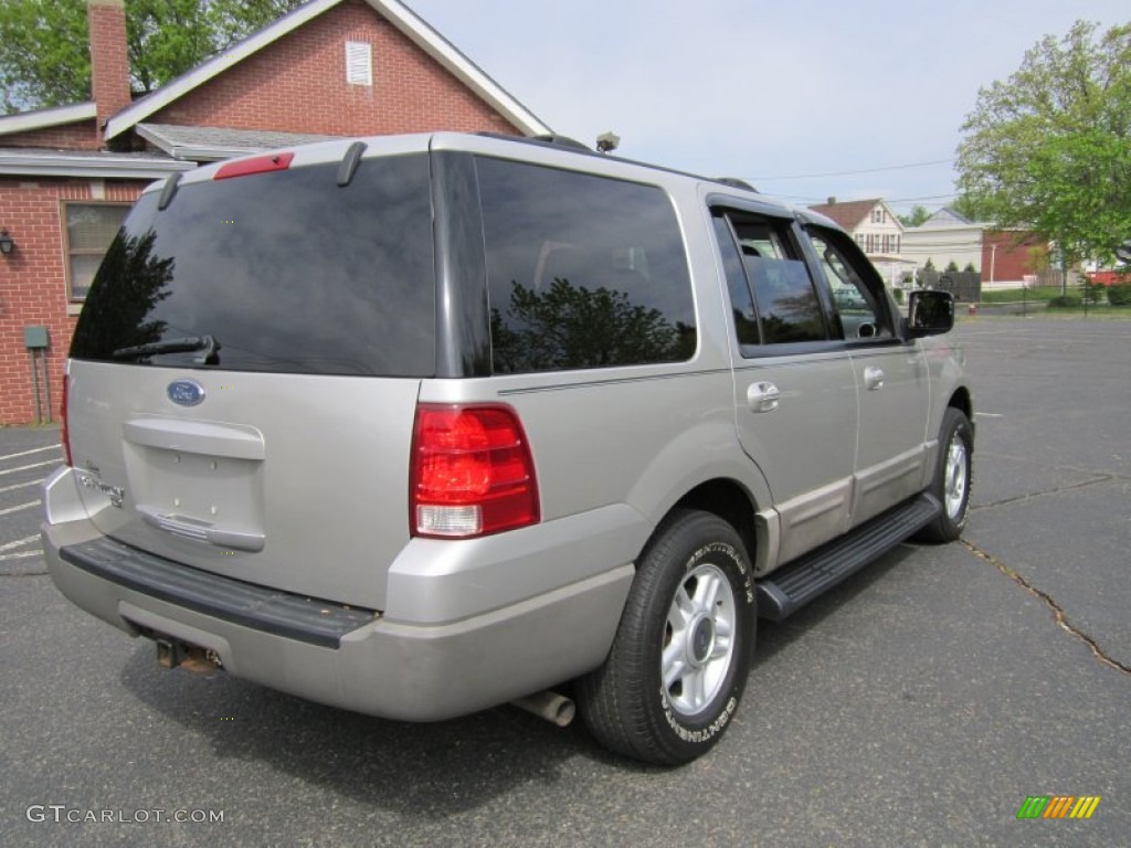 2003 Expedition XLT 4x4 - Silver Birch Metallic / Flint Grey photo #7
