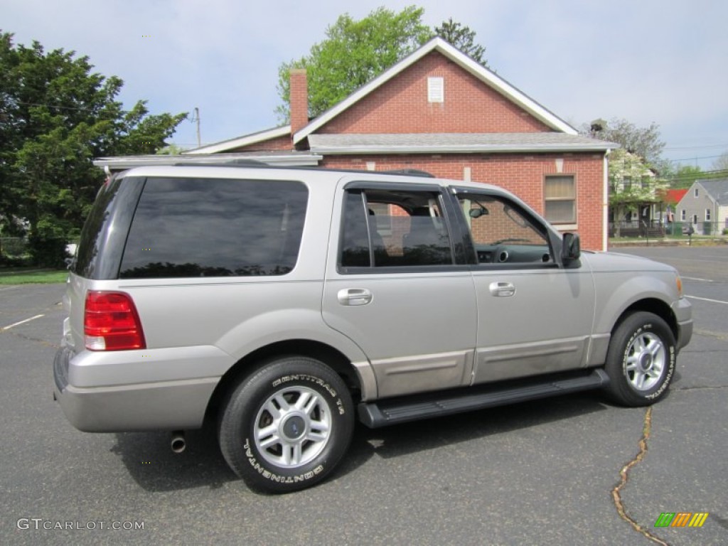 2003 Expedition XLT 4x4 - Silver Birch Metallic / Flint Grey photo #8
