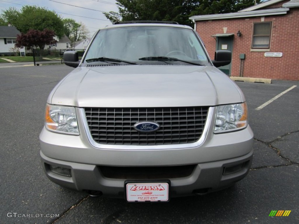 2003 Expedition XLT 4x4 - Silver Birch Metallic / Flint Grey photo #9