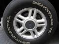 2003 Silver Birch Metallic Ford Expedition XLT 4x4  photo #22
