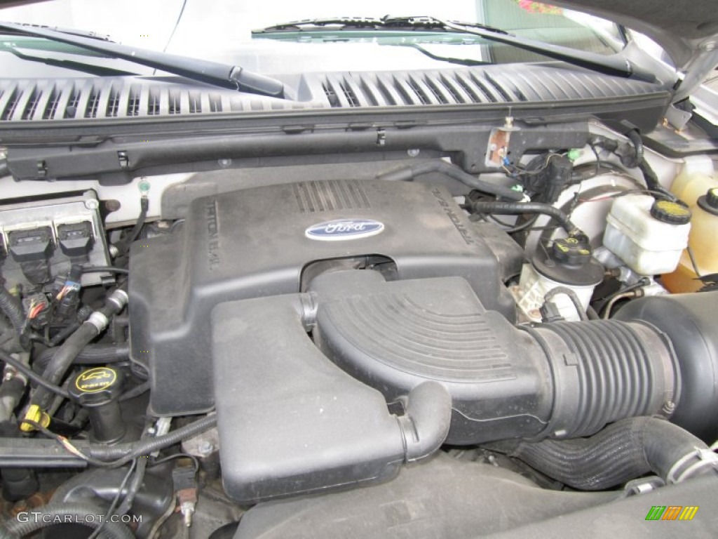 2003 Expedition XLT 4x4 - Silver Birch Metallic / Flint Grey photo #23