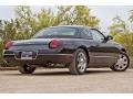Evening Black - Thunderbird Premium Roadster Photo No. 9