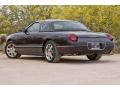 Evening Black - Thunderbird Premium Roadster Photo No. 11