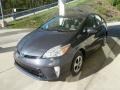 Winter Gray Metallic - Prius 3rd Gen Two Hybrid Photo No. 5