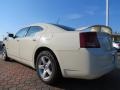 Stone White - Charger SE Photo No. 2