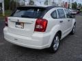 Stone White - Caliber SXT Photo No. 4