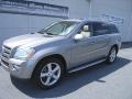 2009 Pewter Metallic Mercedes-Benz GL 450 4Matic  photo #2