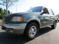 Estate Green Metallic 2001 Ford Expedition Eddie Bauer