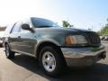 Estate Green Metallic - Expedition Eddie Bauer Photo No. 4