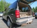 Estate Green Metallic - Expedition Eddie Bauer Photo No. 11