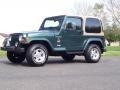 2000 Forest Green Pearl Jeep Wrangler Sahara 4x4  photo #14