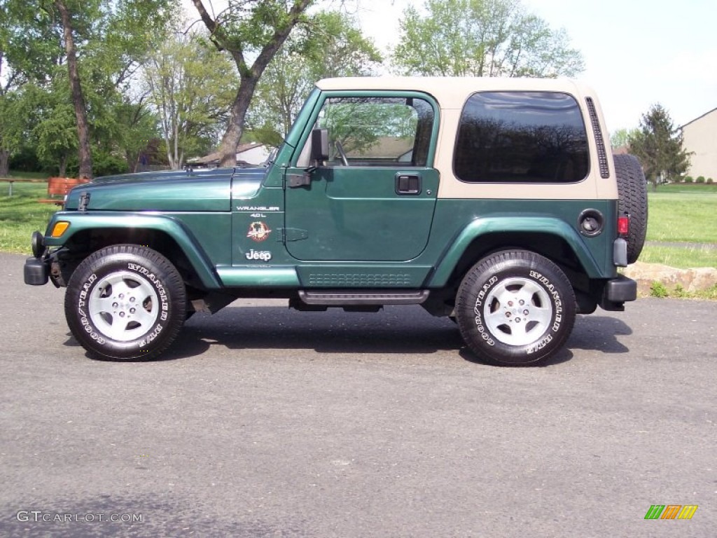 2000 Wrangler Sahara 4x4 - Forest Green Pearl / Camel/Dark Green photo #15