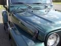 2000 Forest Green Pearl Jeep Wrangler Sahara 4x4  photo #21