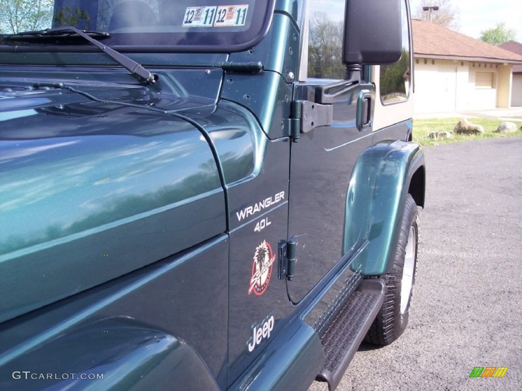 2000 Wrangler Sahara 4x4 - Forest Green Pearl / Camel/Dark Green photo #25