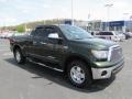2010 Spruce Green Mica Toyota Tundra TRD Double Cab 4x4  photo #1
