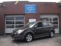 Abyss Black 2004 Pontiac Vibe 