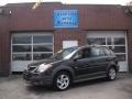 2004 Abyss Black Pontiac Vibe   photo #1