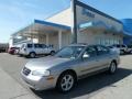 Sterling Mist Metallic - Maxima GLE Photo No. 1
