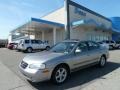 2001 Sterling Mist Metallic Nissan Maxima GLE  photo #1