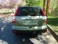 2008 Green Tea Metallic Honda CR-V EX 4WD  photo #6