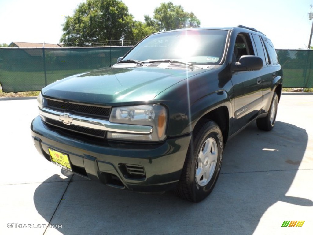 2003 TrailBlazer LS - Dark Green Metallic / Medium Pewter photo #7