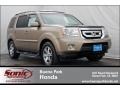 2010 Mocha Metallic Honda Pilot Touring  photo #1