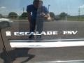 Black Raven - Escalade ESV AWD Photo No. 11