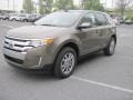 2013 Mineral Gray Metallic Ford Edge SEL  photo #3