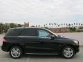 Black - ML 350 4Matic Photo No. 3
